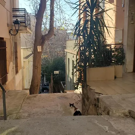 Sakura Hut Opposite The Panathenaic Stadium Exterior photo